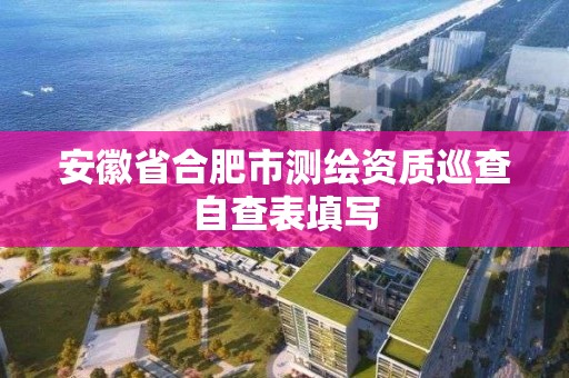 安徽省合肥市测绘资质巡查自查表填写