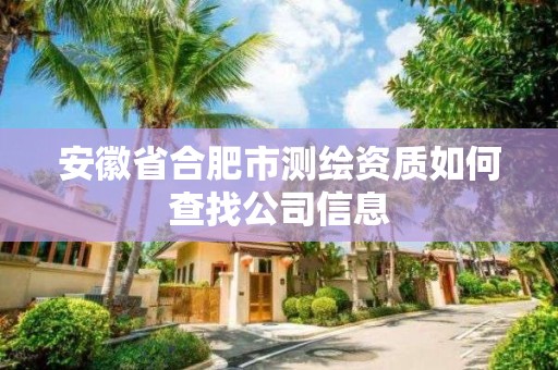 安徽省合肥市测绘资质如何查找公司信息