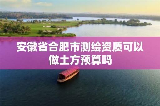 安徽省合肥市测绘资质可以做土方预算吗