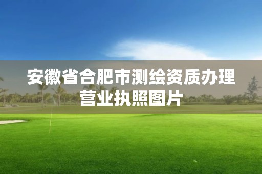 安徽省合肥市测绘资质办理营业执照图片