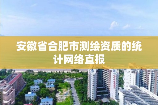 安徽省合肥市测绘资质的统计网络直报