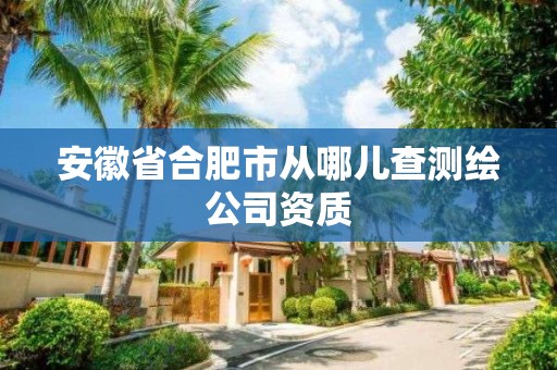 安徽省合肥市从哪儿查测绘公司资质