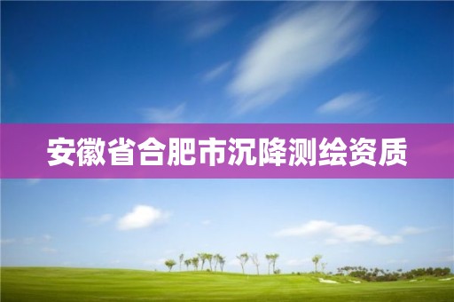 安徽省合肥市沉降测绘资质