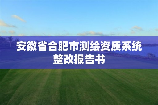 安徽省合肥市测绘资质系统整改报告书