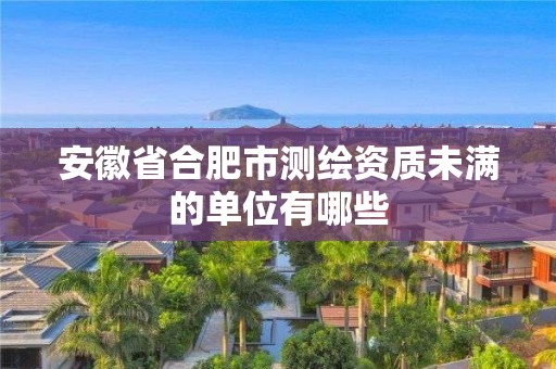 安徽省合肥市测绘资质未满的单位有哪些