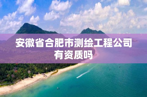 安徽省合肥市测绘工程公司有资质吗