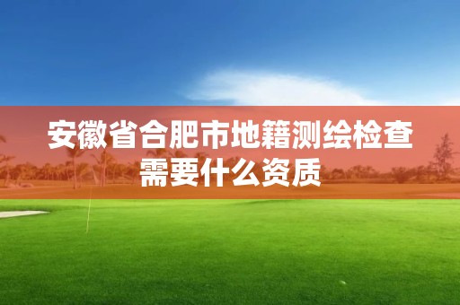 安徽省合肥市地籍测绘检查需要什么资质