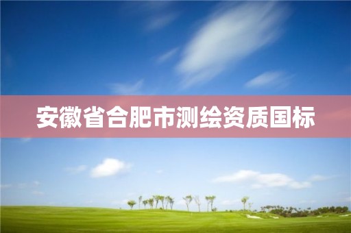 安徽省合肥市测绘资质国标