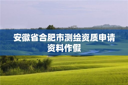 安徽省合肥市测绘资质申请资料作假