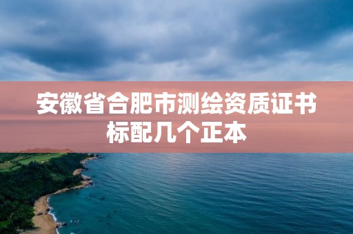 安徽省合肥市测绘资质证书标配几个正本