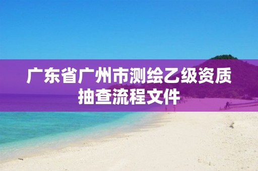 广东省广州市测绘乙级资质抽查流程文件