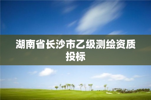 湖南省长沙市乙级测绘资质投标