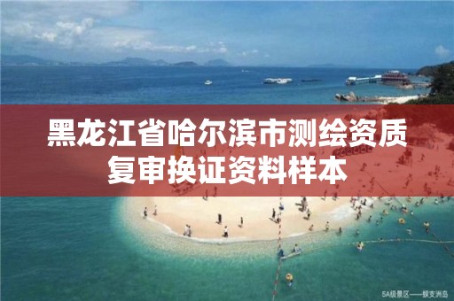 黑龙江省哈尔滨市测绘资质复审换证资料样本