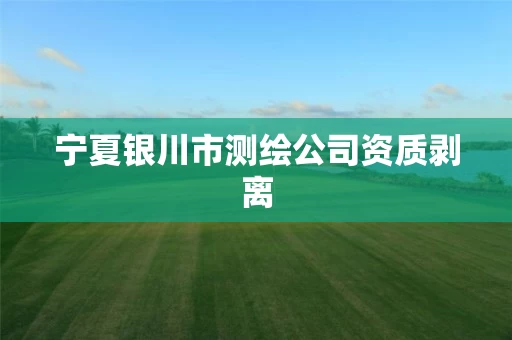 宁夏银川市测绘公司资质剥离 宁夏银川市测绘公司资质剥离