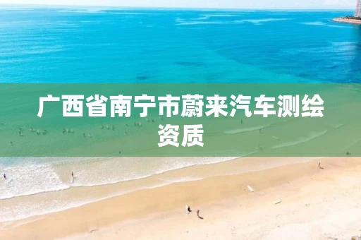 广西省南宁市蔚来汽车测绘资质 广西省南宁市蔚来汽车测绘资质