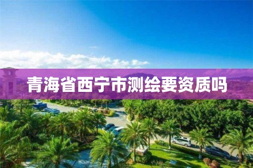 青海省西宁市测绘要资质吗