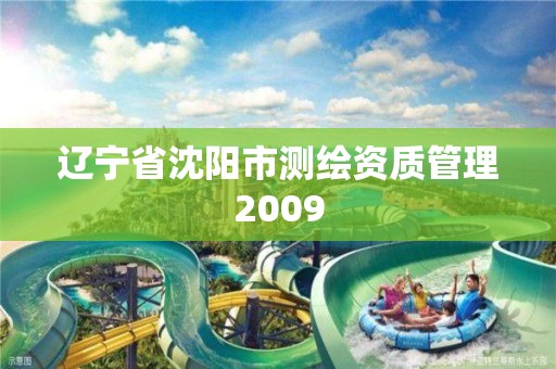 辽宁省沈阳市测绘资质管理2009