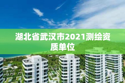 湖北省武汉市2021测绘资质单位