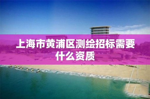 上海市黄浦区测绘招标需要什么资质