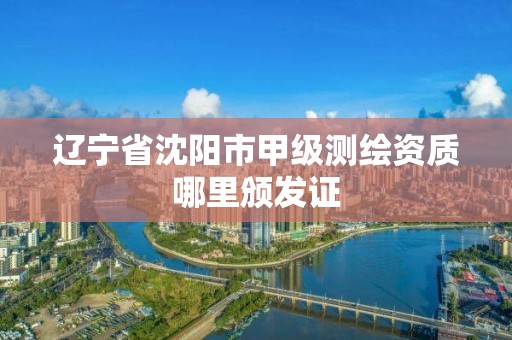 辽宁省沈阳市甲级测绘资质哪里颁发证