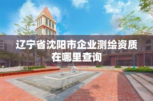 辽宁省沈阳市企业测绘资质在哪里查询