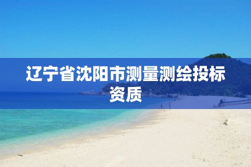 辽宁省沈阳市测量测绘投标资质