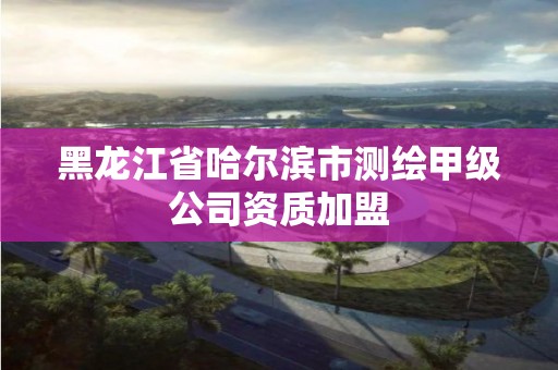 黑龙江省哈尔滨市测绘甲级公司资质加盟