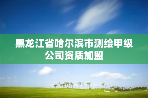 黑龙江省哈尔滨市测绘甲级公司资质加盟 黑龙江省哈尔滨市测绘甲级公司资质加盟