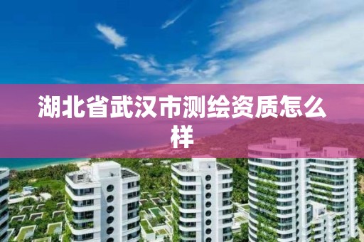 湖北省武汉市测绘资质怎么样