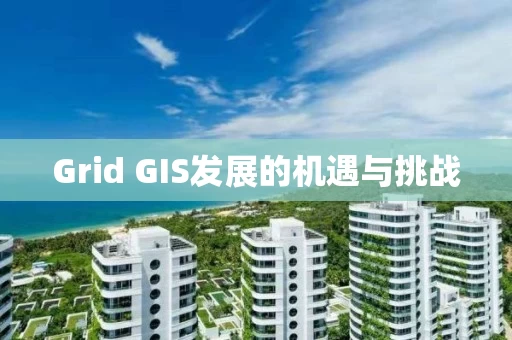 Grid GIS发展的机遇与挑战 Grid GIS发展的机遇与挑战