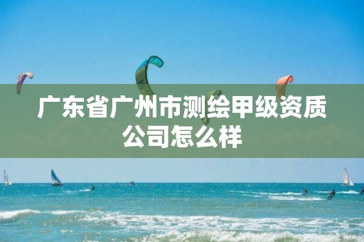 广东省广州市测绘甲级资质公司怎么样