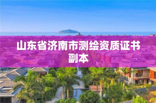 山东省济南市测绘资质证书副本