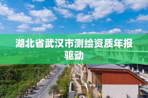 湖北省武汉市测绘资质年报驱动