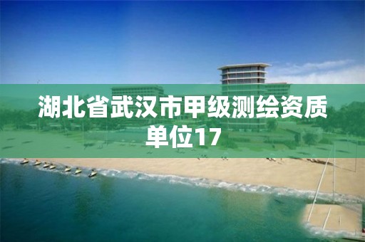 湖北省武汉市甲级测绘资质单位17