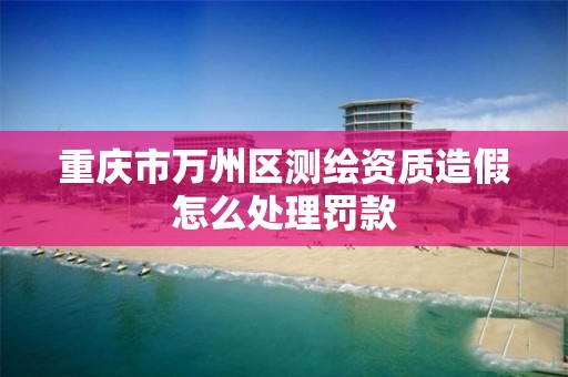 重庆市万州区测绘资质造假怎么处理罚款