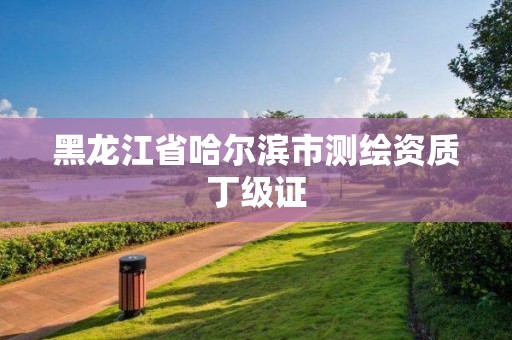 黑龙江省哈尔滨市测绘资质丁级证