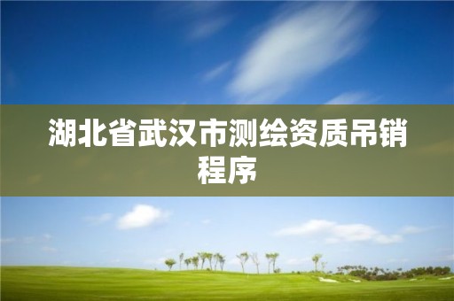 湖北省武汉市测绘资质吊销程序