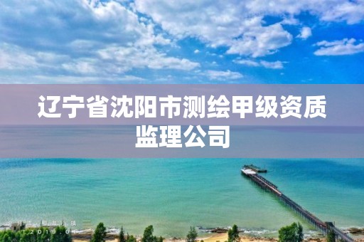 辽宁省沈阳市测绘甲级资质监理公司