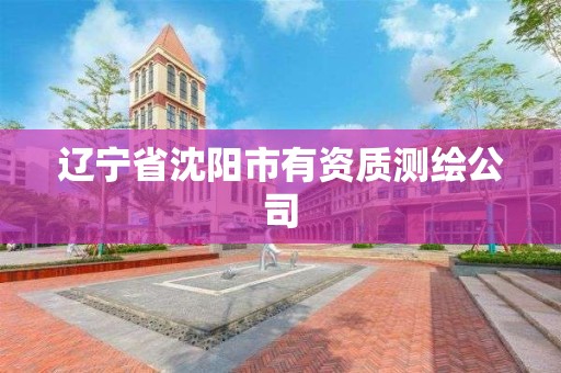 辽宁省沈阳市有资质测绘公司