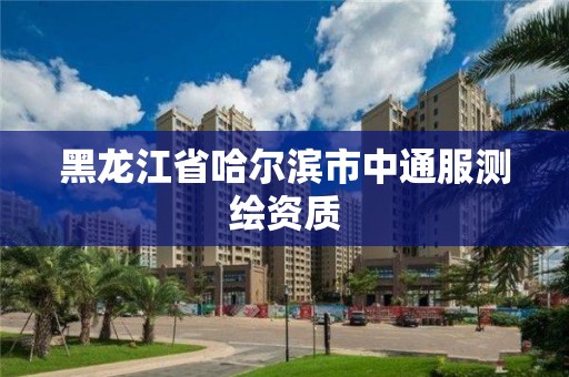 黑龙江省哈尔滨市中通服测绘资质