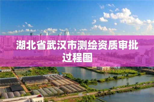 湖北省武汉市测绘资质审批过程图