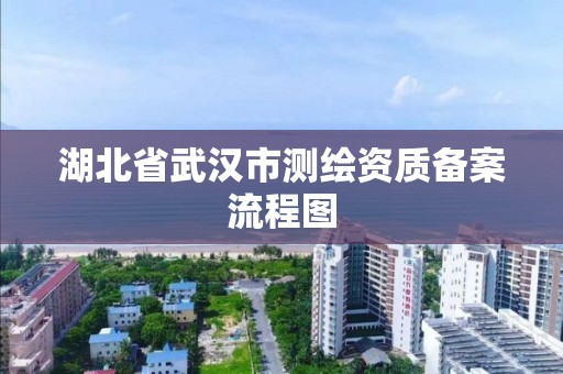 湖北省武汉市测绘资质备案流程图