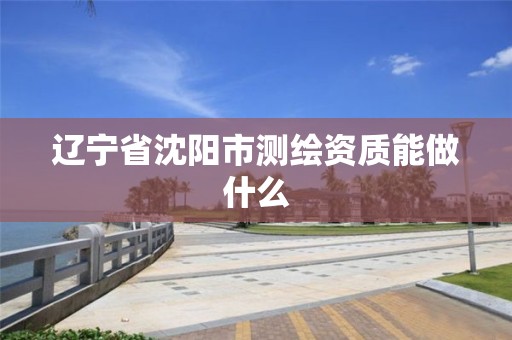 辽宁省沈阳市测绘资质能做什么