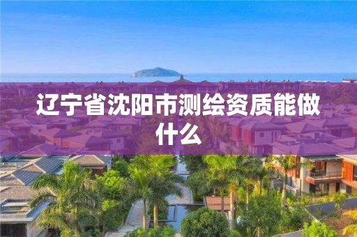 辽宁省沈阳市测绘资质能做什么 辽宁省沈阳市测绘资质能做什么