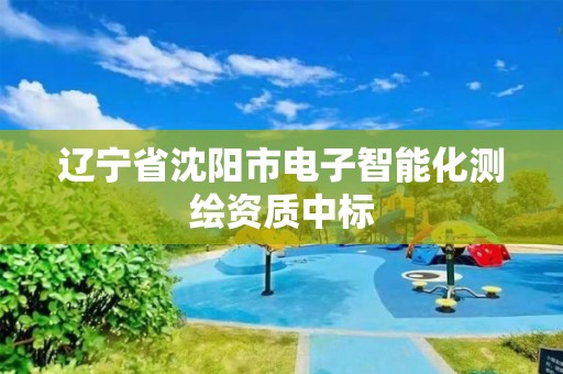 辽宁省沈阳市电子智能化测绘资质中标