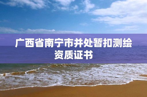 广西省南宁市并处暂扣测绘资质证书