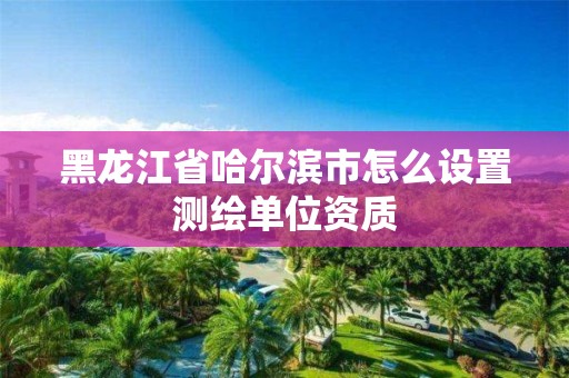 黑龙江省哈尔滨市怎么设置测绘单位资质