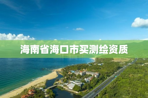 海南省海口市买测绘资质