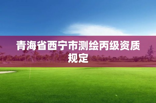 青海省西宁市测绘丙级资质规定