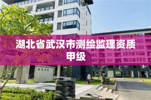 湖北省武汉市测绘监理资质甲级